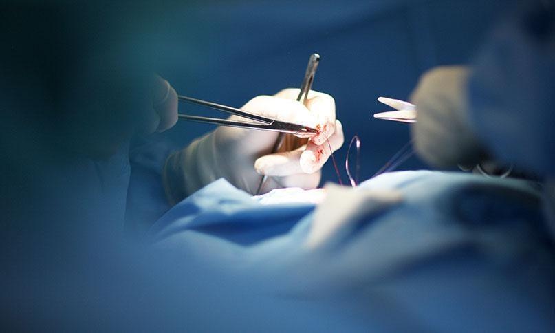 Bronx family files wrongful death